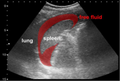 Automated Diagnostic Tool